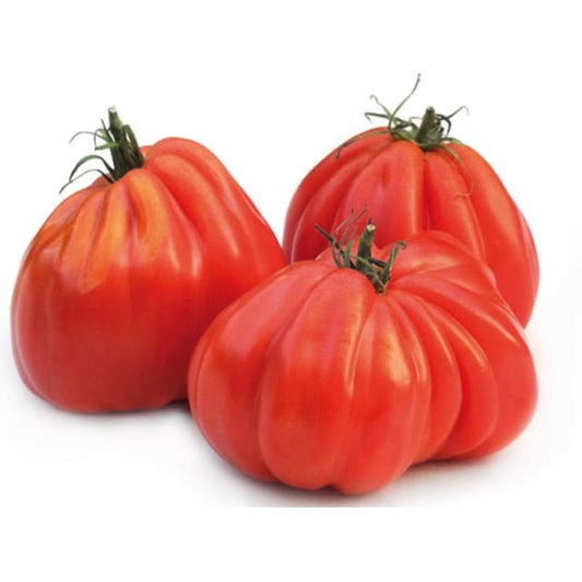 Pomidor Bawole serce około 500g
