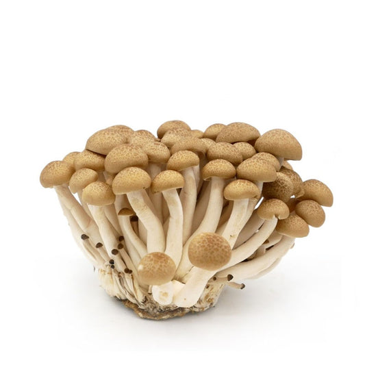 Grzyby Shimeji 150g